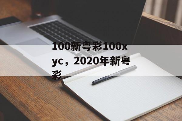 100新粤彩100xyc，2020年新粤彩